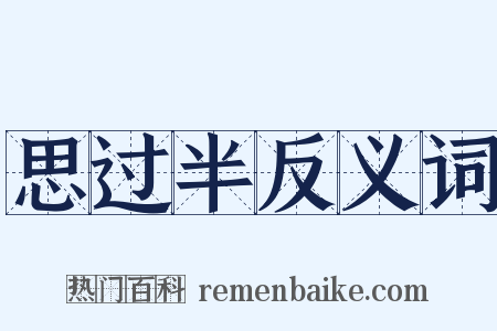 思过半反义词是什么意思的图片